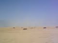 40mm experience