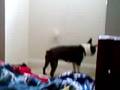 The Lost Boston