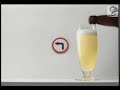 Complot (www.tenemosunplan.com) - Grupo Schincariol