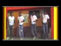la danse Pinguiss