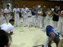 Sul Da Bahia Roda
