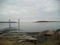 videos de Common Loons calling-Nov. 30, 08