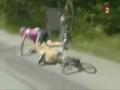 Cyclist Hits Dog in the Tour De France