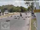 3a. Fecha SUPERBIKE CHETUMAL 2007 - Nuevos Valores