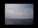 Transat 2007 sur Max Havelaar