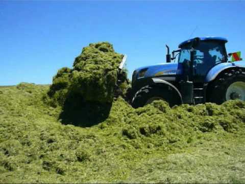 T7060 - T7060 buckraking in new zealand with irish driver!!