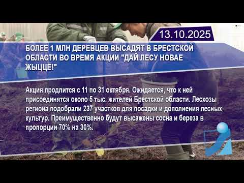 Новостная лента Телеканала Интекс 13.10.25.