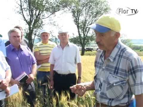 Seminar agricol