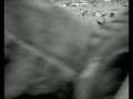 videos de Balance