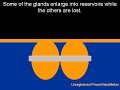why-intelligent-design-is-wrong-part-i.html