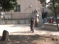 My Flips