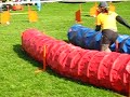 6.10.07 - Faust agility