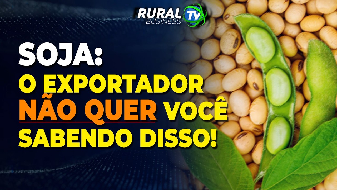 SOJA: O EXPORTADOR NÃO QUER VOCÊ SABENDO DISSO!
