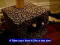 Your Love is Like a See Saw Baby