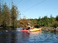 OCSJ Cedar Creek Beaver Dam