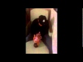 Billy and Jayden.wmv