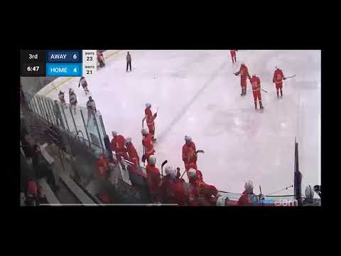 SA hockey blue line bar down (broke my hand this game too)