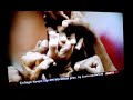 ESPN:  Earth turns *around* the sun every 24 hours.