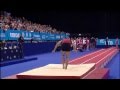 Alexander Seifert (CAN) - 2011 World Tumbling - TF