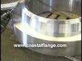 Coastal Flange The Pipe Flange People
