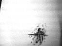 animation