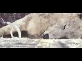 Raj Ramayya - Strangers