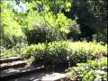 Botanischer Garten Leipzig