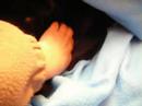 Susti en su mantita - en adopci�n