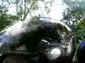 videos de Gapan scandal