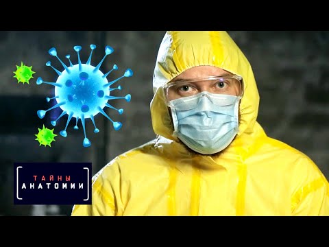 Иммунная система | Тайны анатомии