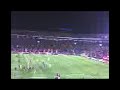 tigres