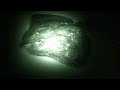 Activist Release Transgenic Stingrays in the Ocean