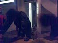 Headbanging.. Joachim & Tobi :D