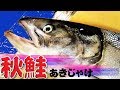 YouTube 動画再生