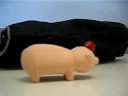 oink choo oink choo