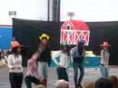 beat imelda azul campo