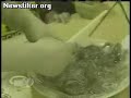 Comida Sul-Coreana horrível