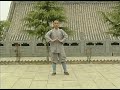 Shaolin Zhao Yang Quan