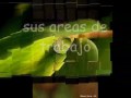 VISITA CEA IECA