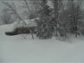 videos de snowboard stormpeek