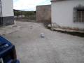 Los piromanos de mis colegas
