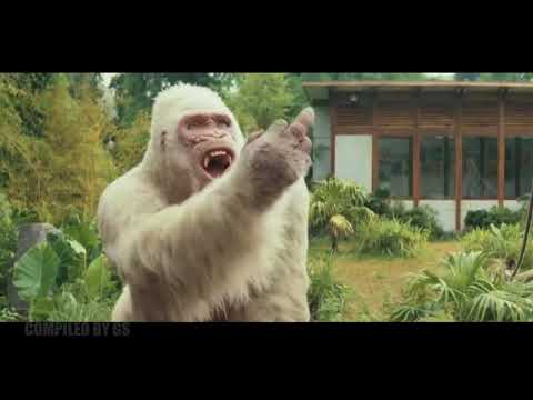 Gifs With Sound #174