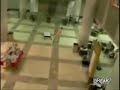 A daring student streaks through Hodges Library at the University of Tennessee Knoxville in the middle of finals week. Remember how crowded the libraries are this time of year. This took balls... literally.