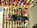 shoe dumbness shoe dumbness