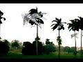 Tormenta Sicotropical