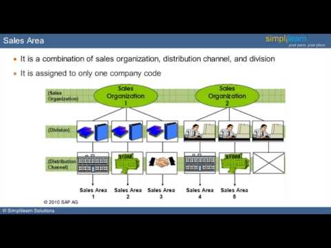 how to define sales organization in sap