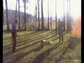VÝCVIK 29.11 CHEB (18).MP4 RADEK SE SVÝM MIMČEM