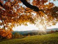 As I Lay Me Down original by Sophie B. Hawkins, arr. Hullabahoos & performed by Emily Miller