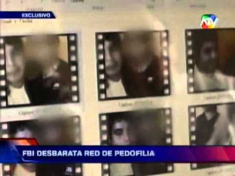 pedofilia