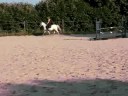 qristale en carriére